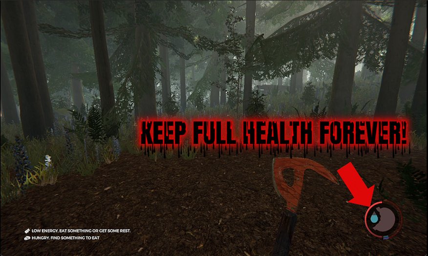 The Forest — Immortal Camper (screenshot 2)